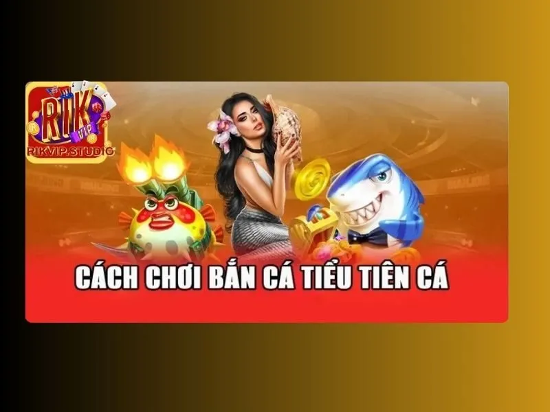 bắn cá tiểu tiên cá